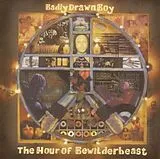 Badly Drawn Boy Vinyl The Hour Of Bewilderbeast
