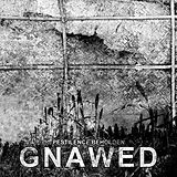 Gnawed CD Pestilence Beholden