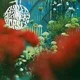 Pulled Apart By Horses LP (analog) The Haze (2022 Repress)