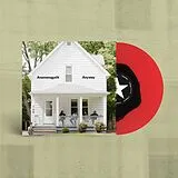 Anamanaguchi Vinyl Anyway