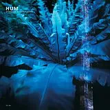 Hum Vinyl Downward Is Heavenward