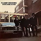 Flamin'' Groovies LP (analog) Shake Some Action