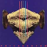 Ruins CD Pallaschtom