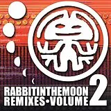 Rabbit In The Moon CD Remixes Vol.2