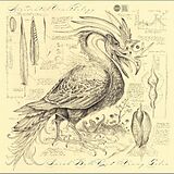 Sarah Belle Reid & Vinny Golia CD Accidental Ornithology