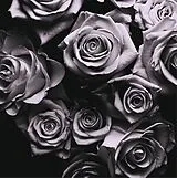 Zomby Vinyl With Love (Vinyl)