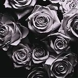 Zomby CD With Love