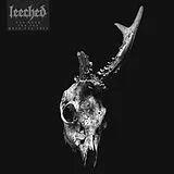 Leeched Vinyl You Took The Sun When You Left