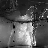 Vile Creature CD Preservation Rituals (2015 - 2018)