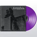 Amygdala Vinyl Our Voices Will Soar Forever
