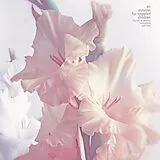 An Autumn For Crippled Children Vinyl Try Not To Destroy Everything You Love