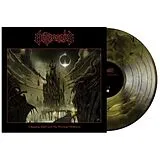 Outergods Vinyl A Kingdom Built Upon The Wreckage Of Heaven