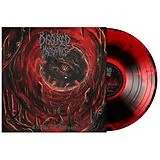Disguised Malignance Vinyl Entering The Gateways
