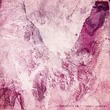 Porcelain Raft CD Strange Weekend