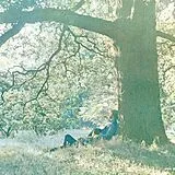 Yoko Ono Vinyl Plastic Ono Band
