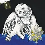 Songs:ohia LP (analog) Magnolia Electric Co. (10th Anniversary Delux