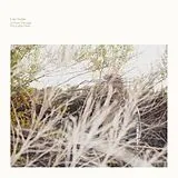 Luke Temple Vinyl A Hand Through The Cellar Door