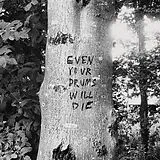 Richard Swift LP (analog) Even Your Drums Will Die: Live At Pendarvis Farm 2