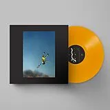 Yeah Yeah Yeahs LP (analog) Cool It Down (yellow)