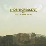 Phosphorescent LP (analog) Here's To Taking It Easy