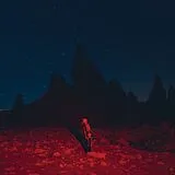 Phoebe Bridgers LP (analog) Punisher