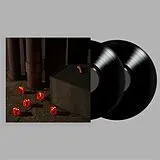 Bright Eyes LP (analog) Five Dice,All Threes