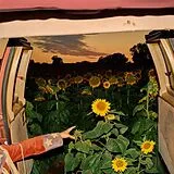 Kevin Morby CD Little Wide Open