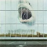 Black Mountain LP (analog) Wilderness Heart
