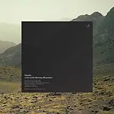 Oneida LP (analog) A List Of Burning Mountains