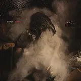 Dasher Vinyl Sodium