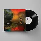 Sharon Van Etten Vinyl We Ve Been Going About This All Wrong