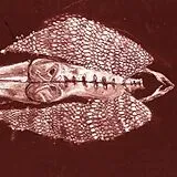 Cerberus Shoal LP (analog) Homb (anniversary Edition)
