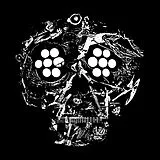 Young Widows LP (analog) Decayed: Ten Years Of Cities, Wounds, (...)