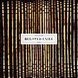 Steve Moore LP (analog) Beloved Exile