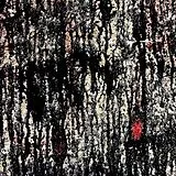 Tashi & Damon, Tyler Dorji Vinyl Both Will Escape