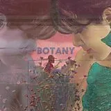 Botany LP (analog) Feeling Today