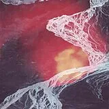 Wires Under Tension LP (analog) Light Science