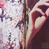 Grooms LP (Vinyl) Comb The Feelings Through Your Hair (Vinyl)
