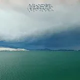 Modest Mouse Vinyl The Fruit That Ate Itself