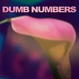 Dumb Numbers LP (Vinyl) Dumb Numbers (Vinyl)
