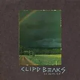 Clipd Beaks LP (analog) To Realize