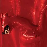 William Basinski CD A Red Score In Tile