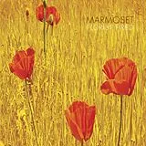 Marmoset LP (analog) Florist Fired