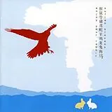 Sufjan Stevens CD Enjoy Your Rabbit