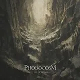 Phobocosm Vinyl Gateway