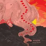 Rejoicer Vinyl Energy Dreams