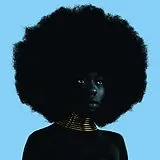 Sudan Archives Vinyl Sink EP (33rpm 12" vinyl)
