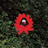 Lionmilk Vinyl When The Flowers Bloom
