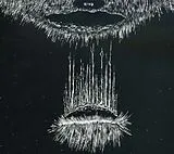 Alexander Tucker CD Old Fog