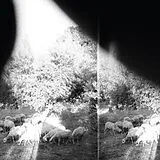 Godspeed You! Black Emperor Vinyl Asunder,Sweet And Other Distress (Vinyl)